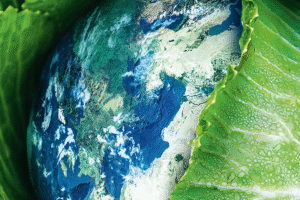 Zrzut ekranu 2022 01 5 o 11 51 27 300x200