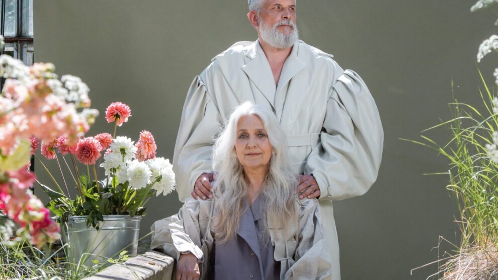 Pexels cottonbro 10049878 scaled 1 990x556