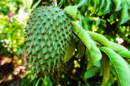 AdobeStock 335410033 scaled 1 130x86