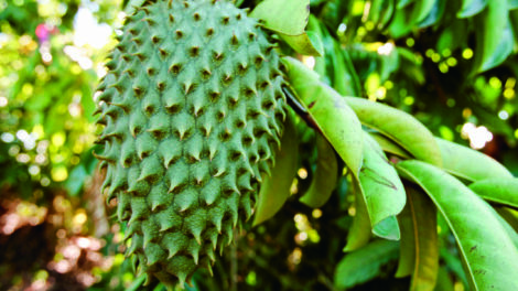 AdobeStock 335410033 scaled 1 470x264