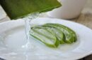 Aloe 4529704 1920 130x86