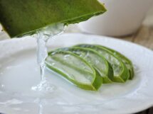 Aloe 4529704 1920 215x161