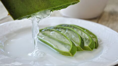 Aloe 4529704 1920 470x264