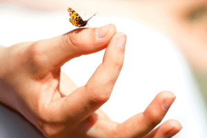 ajurweda sposobem na upały