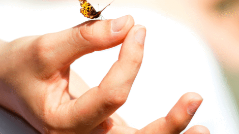 ajurweda sposobem na upały