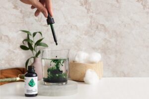 Chlorofil z morwy białej