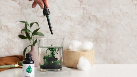 Chlorofil z morwy białej