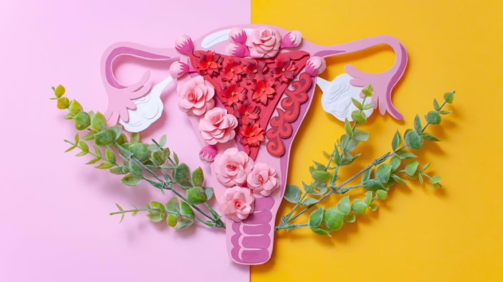 Endometrioza wywiad z dr Wojtowicz 990x556