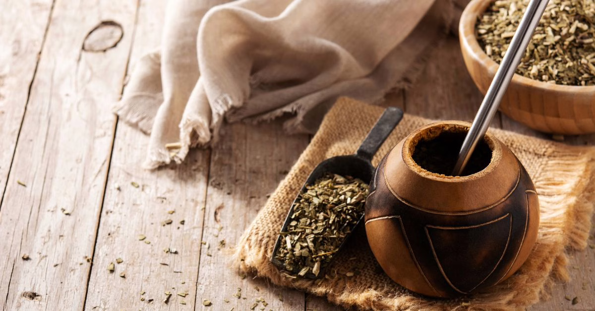 działanie yerba mate