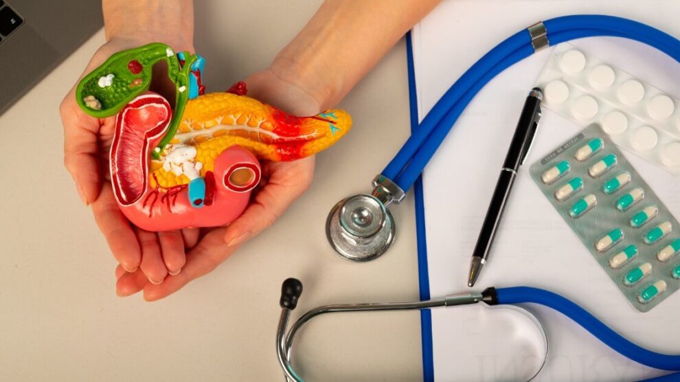 Brucea javanica – mit czy przyszlosc w leczeniu raka trzustki 990x556