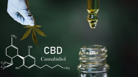 CBD M 470x264