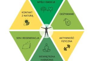 Heksagon witalnosci r1hso9875bgmaxvjevu5exza2ut3nanih1dle0n4sg 300x200