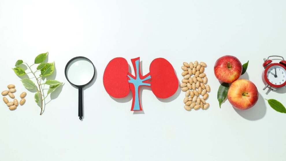 Jak dbac o nerki i nie chorowac 990x556
