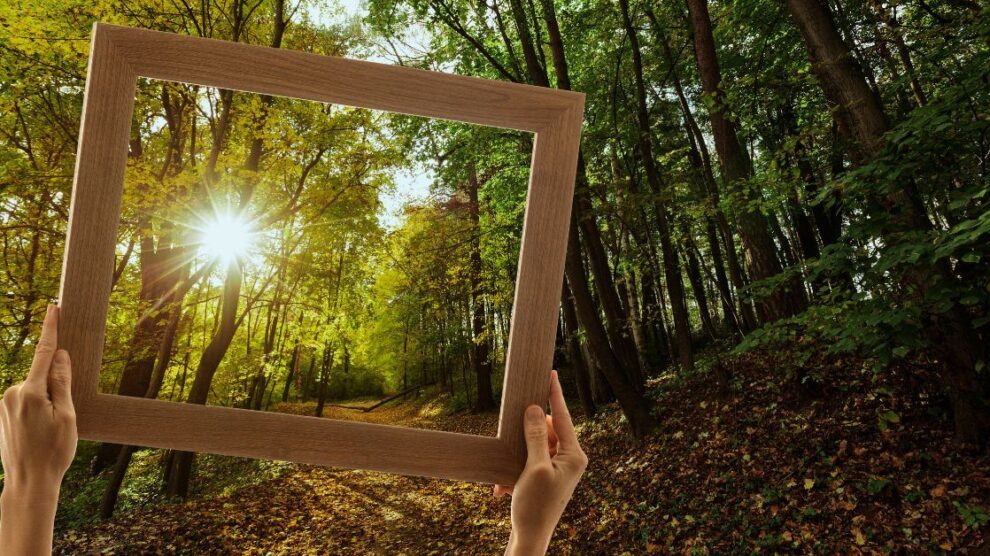 Konkurs Nature Organics TOP PRODUCTS 2024 final juz 15 marca 1 990x556