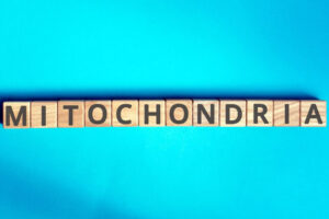 Medycyna mitochondrialna w leczeniu hashimoto 300x200