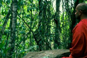 Medytujacy mnich Newsy 300x200