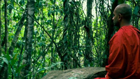 Medytujacy mnich Newsy 470x264