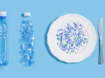 Mikroplastik zatruwa nam zycie 215x161
