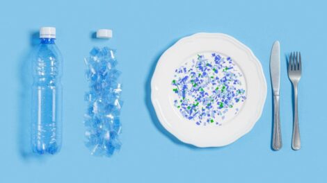 Mikroplastik zatruwa nam zycie 470x264