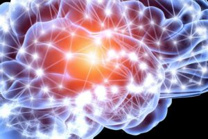 Mozg neurony1 300x200