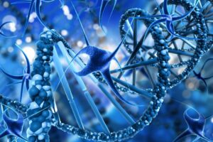 Mutacje genowe 300x200