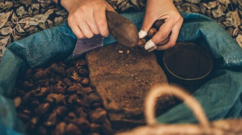 Olej arganowy 470x264