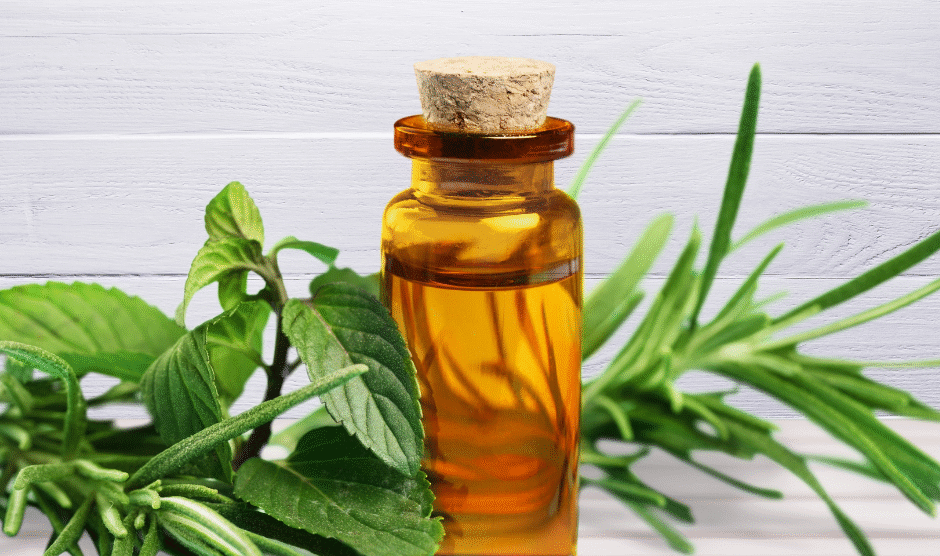 Olejek z drzewa herbacianego 940x556