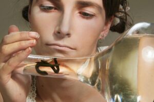 Pijawki lekarskie metoda ktora wraca do lask 300x200