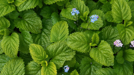 Projekt bez nazwy 19 470x264