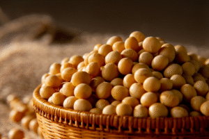 Projekt bez nazwy 2023 08 10T133208 868 300x200