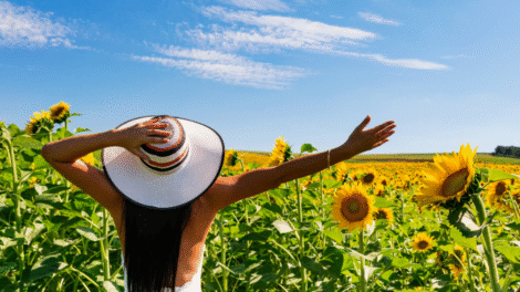 Projekt bez nazwy 2023 08 14T123513 928 470x264