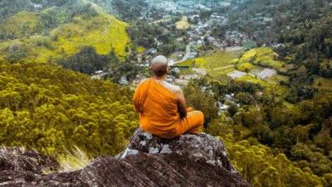 Projekt bez nazwy 2023 08 16T164154 158 470x264