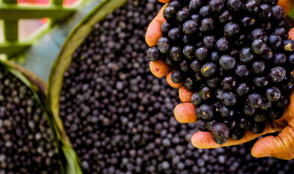 Projekt bez nazwy 2023 08 17T142554 111 940x556