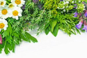 Projekt bez nazwy 2023 09 04T173022 281 1 300x200