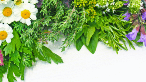 Projekt bez nazwy 2023 09 04T173022 281 1 470x264