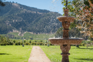 Projekt bez nazwy 2023 09 07T101716 381 300x200