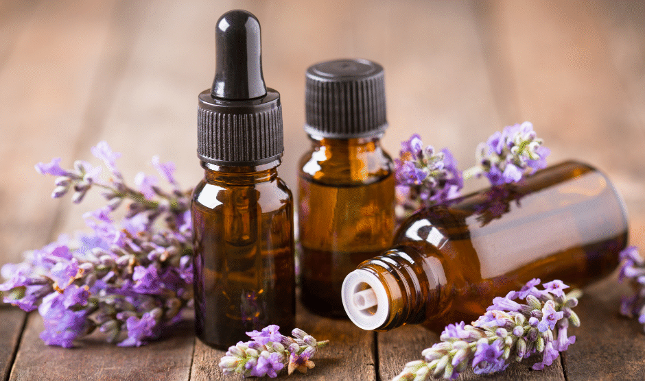 Projekt bez nazwy 2023 09 07T165337 212 940x556