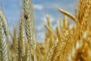 Projekt bez nazwy 2023 09 14T151844 962 300x200