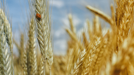 Projekt bez nazwy 2023 09 14T151844 962 470x264