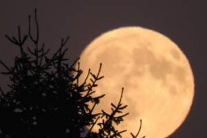 Projekt bez nazwy 2023 10 02T104722 379 300x200