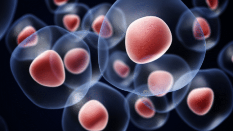 Projekt bez nazwy 2023 12 04T102557 869 470x264