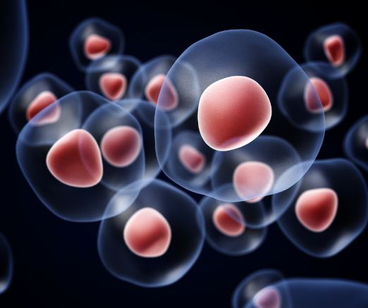 Projekt bez nazwy 2023 12 04T102557 869