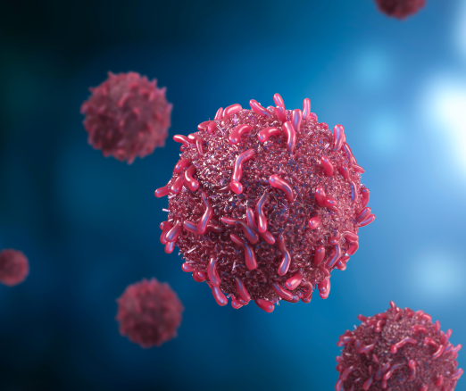 Projekt bez nazwy 2024 02 13T085207 257