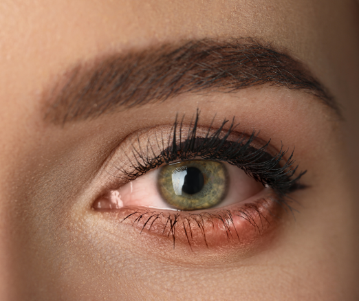 Projekt bez nazwy 2024 02 14T142749 807