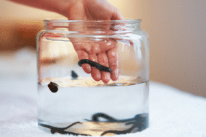 Projekt bez nazwy 2024 02 14T170819 595 300x200