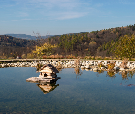 Projekt bez nazwy 2024 02 23T184013 507