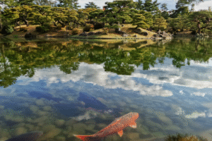 Projekt bez nazwy 2024 02 23T184227 194 300x200