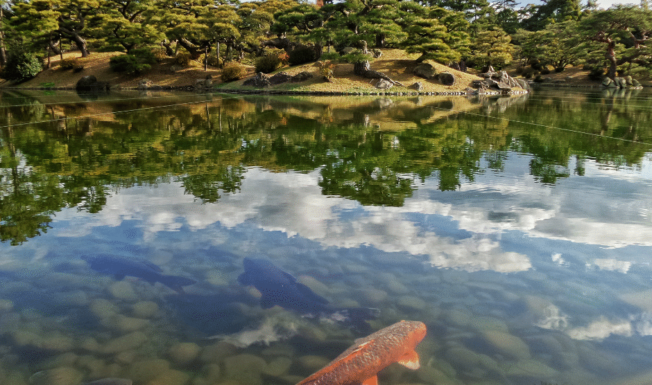 Projekt bez nazwy 2024 02 23T184227 194 940x556