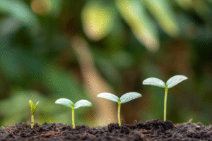 Projekt bez nazwy 2024 02 26T134728 538 300x200