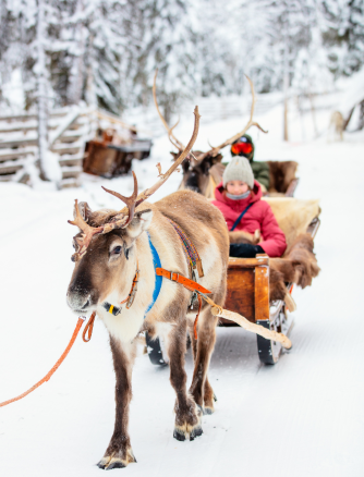 Projekt bez nazwy 2024 03 01T170910 595